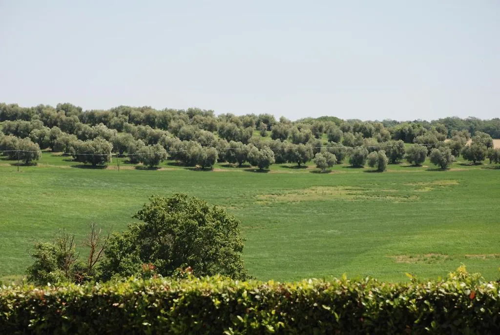 Agriturismo Le Coccinelle Guest House Magliano in Toscana Country house