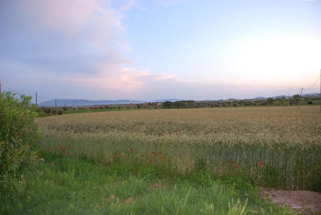 Agriturismo Le Coccinelle Guest House Magliano in Toscana