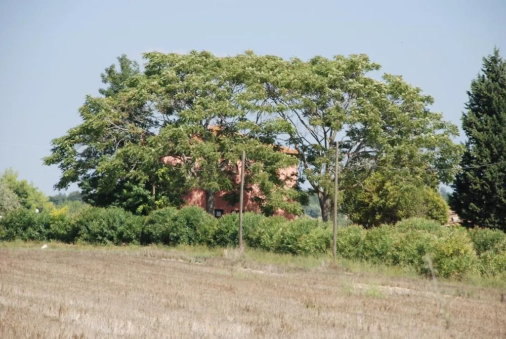 Agriturismo Le Coccinelle Guest House Magliano in Toscana