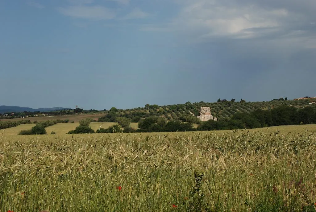 Agriturismo Le Coccinelle Guest House Magliano in Toscana 0*,